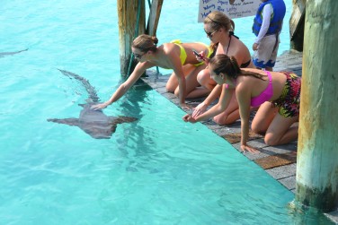 photo Combin� Bahamas Charme & Evasion | Nassau & Exuma Bahamas