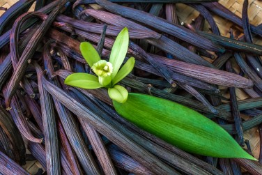 La fameuse vanille de la R�union