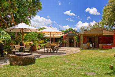 Des paysages verdoyants