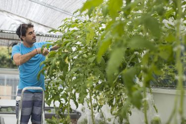 photo Combin Rodrigues / Maurice charme crole Rodrigues