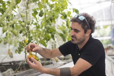 photo Combin Rodrigues / Maurice charme crole Rodrigues