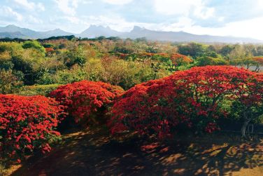 photo Combin Rodrigues / Maurice charme crole Rodrigues