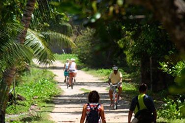 Ici tout le monde circule  vlos, dpaysement garanti !