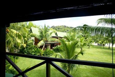 Une vraie vgtation tropicale