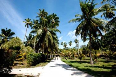 Ici tout le monde circule  vlos, les enfants vont adorer !