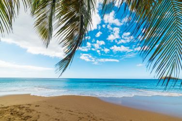 photo Guadeloupe / Martinique - Nature & Ecolo-Chic Guadeloupe