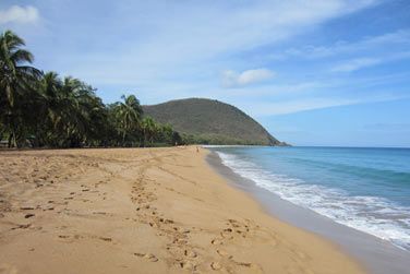 La plage de Grande Anse, l'une des plus belles de la Guadeloupe