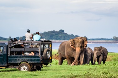 photo Le Sri Lanka en famille Sri Lanka