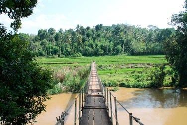 Traverserez des ponts de bois...