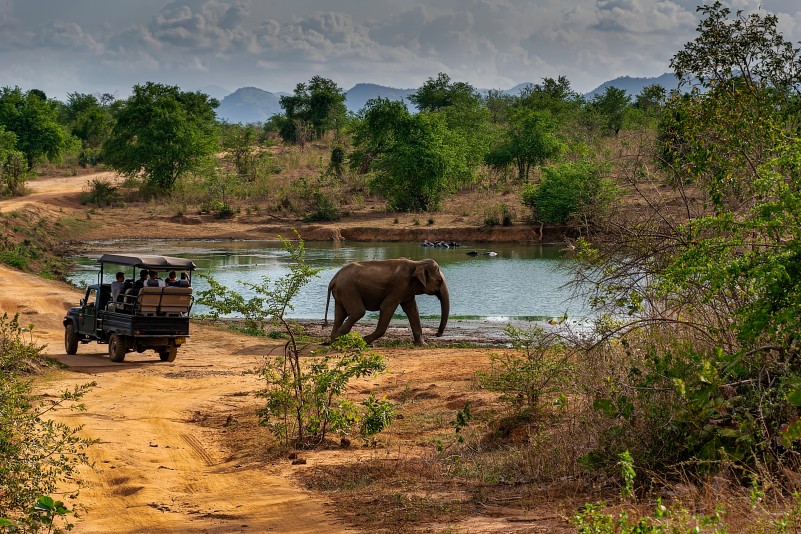 photo Circuit Nature & D�couverte - 9 nuits Sri Lanka