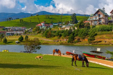 photo Circuit Nature & D�couverte - 9 nuits Sri Lanka