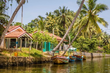 photo Circuit Nature & D�couverte - 9 nuits Sri Lanka