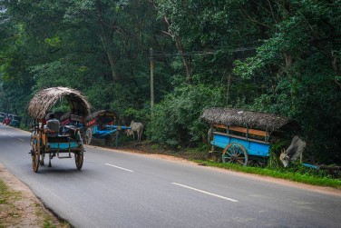 photo Circuit Nature & D�couverte - 9 nuits Sri Lanka