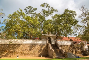Lieu de culte, le Jaya Sri Maha Bodhi Temple