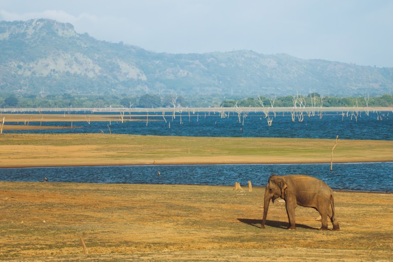 photo Le Grand tour du Sri Lanka Sri Lanka