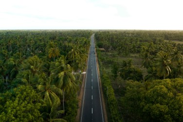 Vue sur la route qui vous m�nera � Jaffna