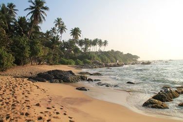 De retour sur la cte, vous dcouvrirez les plages de sable blond du Sri Lanka