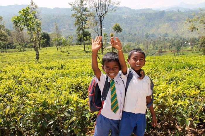 Le Grand tour du Sri Lanka