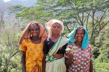 Les cueilleuses de th ont le sourire !