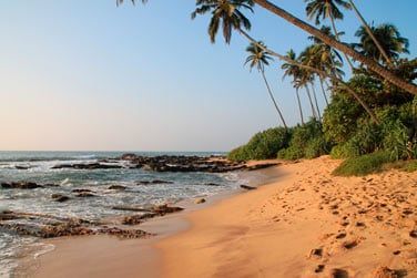 Dbut du voyage au Sri Lanka...