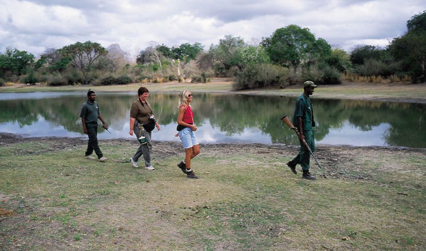 walking safari à Crescent Island au Kenya
