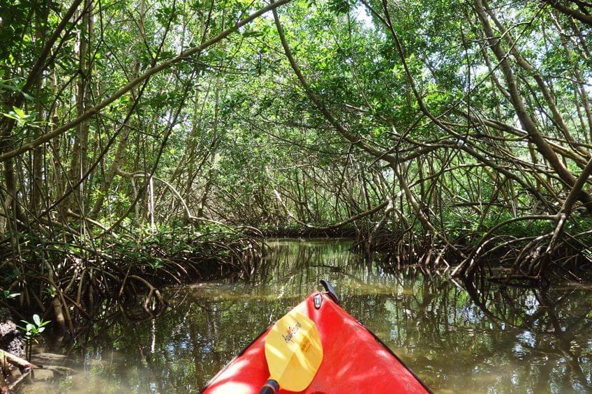 kayak guadeloupe