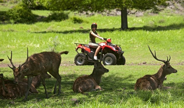 parc activites Casela ile maurice