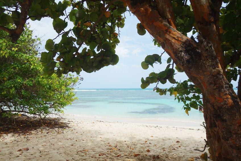 plage guadeloupe