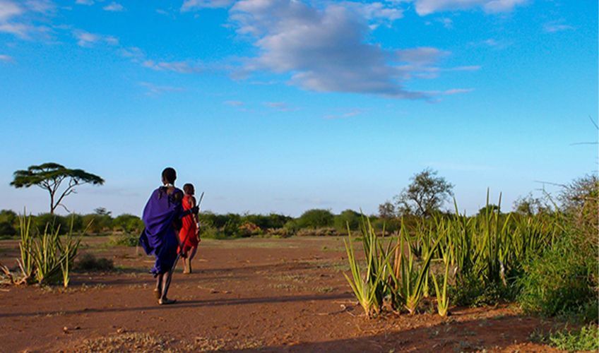 safari guidé par des Masai dans le parc Masai Mara au Kenya