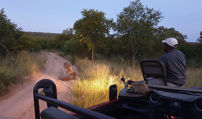 safari de nuit en Tanzanie