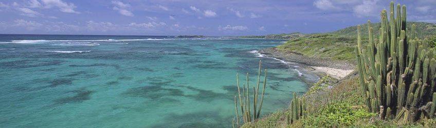 Top 5 des activités Nature en Martinique