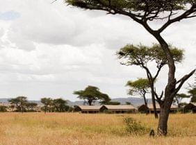 Nos adresses coup de cœur dans le parc du Serengeti