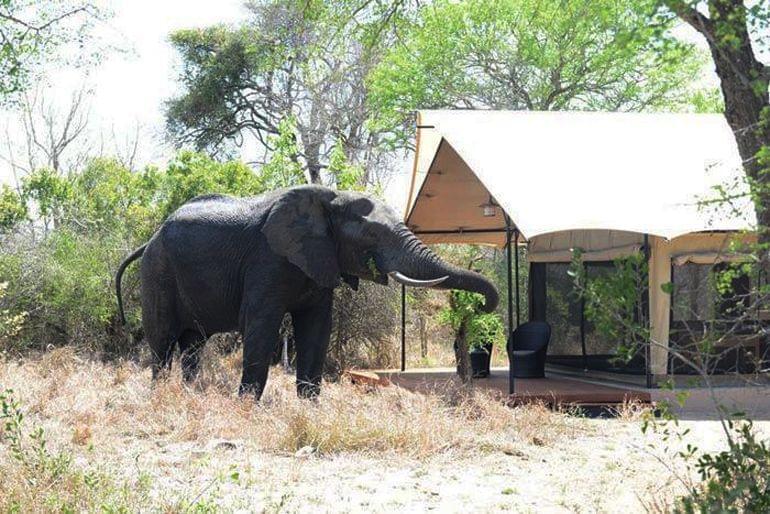 afrique du sud cabane lune de miel