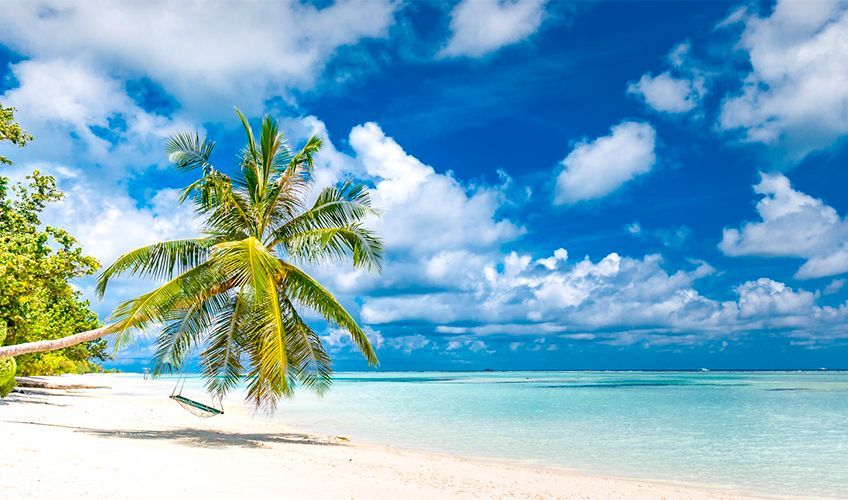 plage du LUX South Ari Atoll aux Maldives
