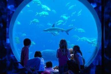 atlantis the palm nassau aux bahamas atlantis the palm nassau bahamas