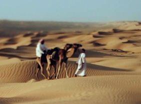 Top 5 des aventures à vivre à Oman