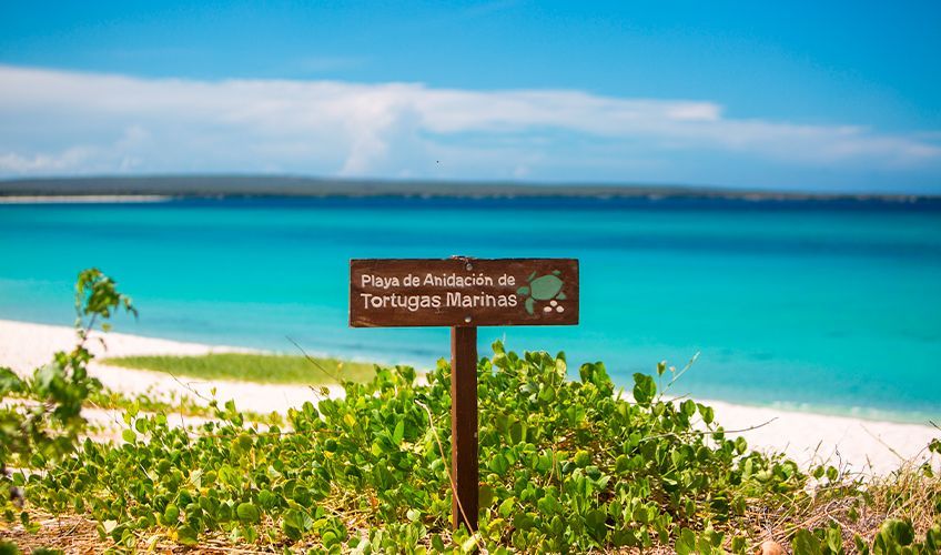 plage de ponte pour les tortues en République dominicaine