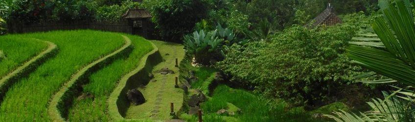 Bali se découvre autrement