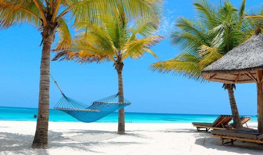 hamac sur une plage  Zanzibar
