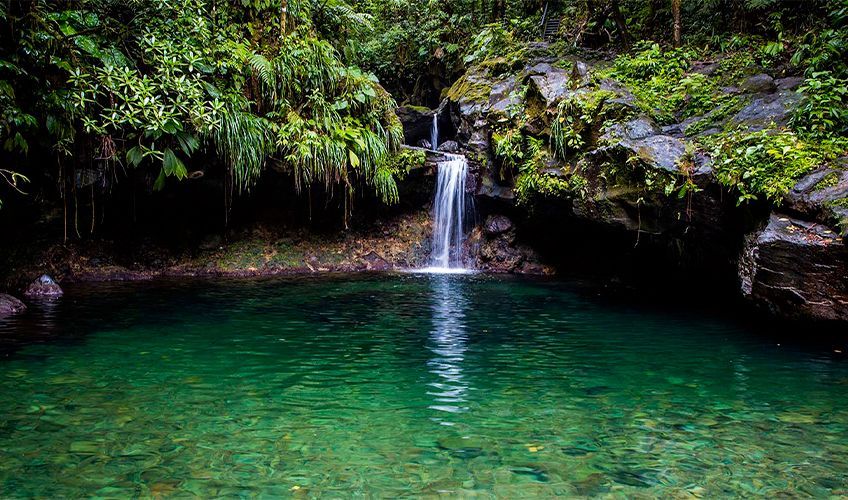 Bassins Paradise à Capesterre en Guadeloupe