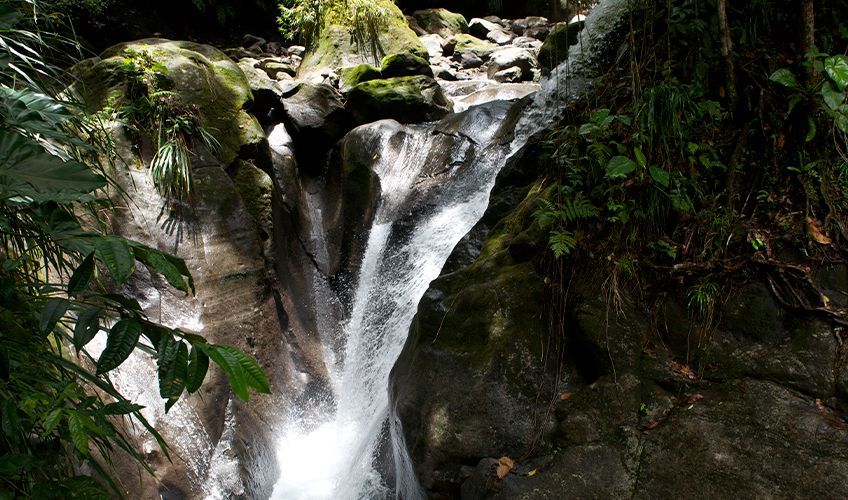 Bassins bleus à Gourbeyre en Guadeloupe
