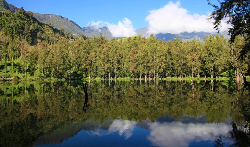bassin des cascades dans le cirque de Salazie à la Réunion