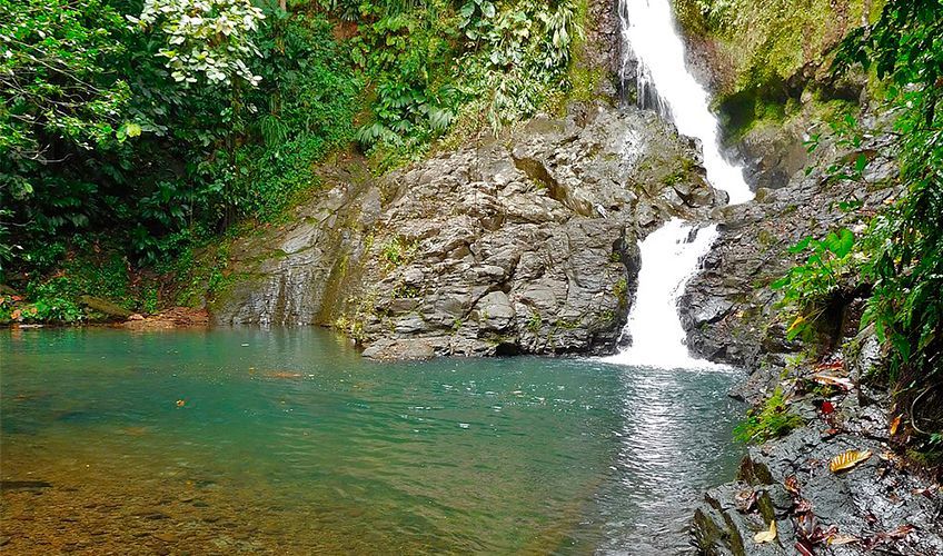 Cascade Brat-de-Fort en Guadeloupe