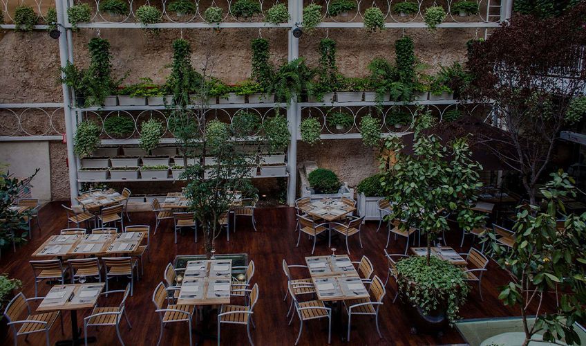 restaurant buche pericho  Saint Domingue en Rpublique Dominicaine