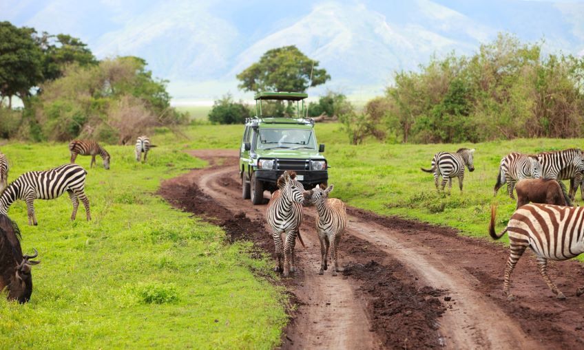 4x4 pendant un safari en Tanzanie