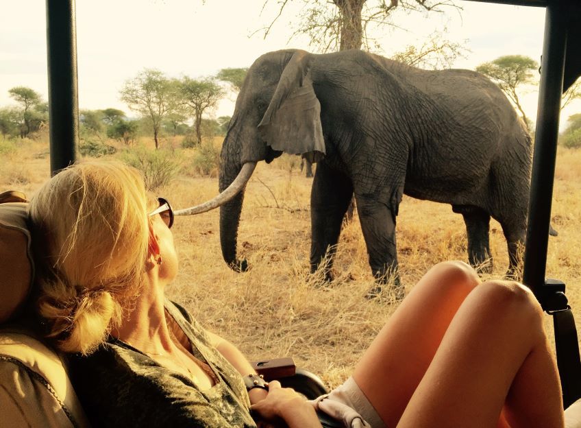 vue sur un lphant depuis un 4x4 pendant un safari en Tanzanie
