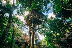 Top 3 des cabanes dans les arbres les plus insolites au bout du monde