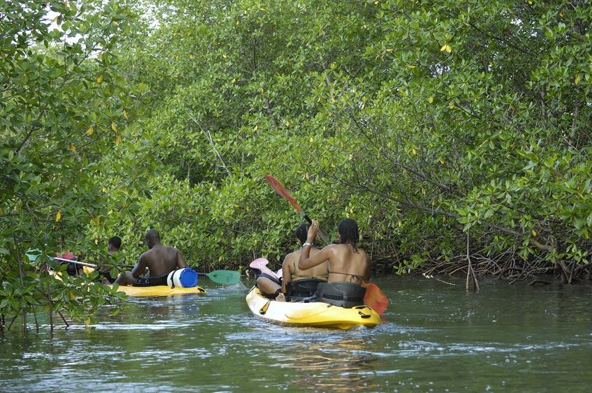canoe dans le grand cul de sac marin en guadeloupe