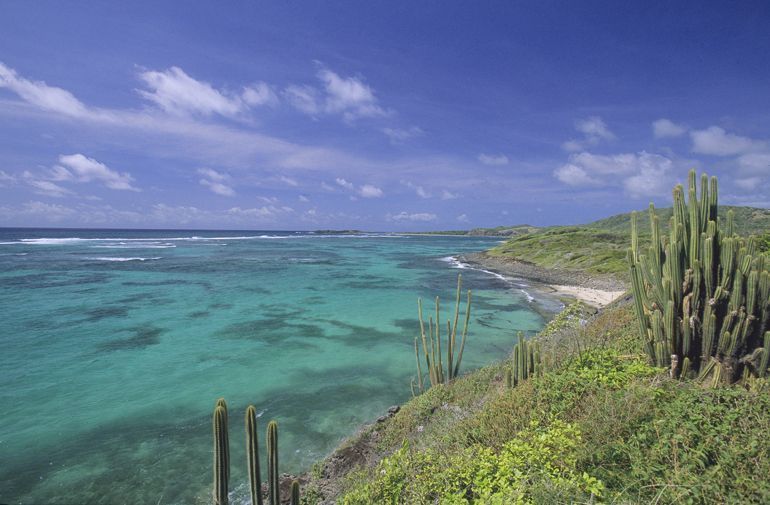cap macre martinique