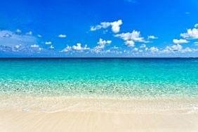 Les meilleurs muses des Carabes